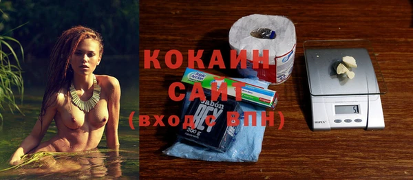 ПСИЛОЦИБИНОВЫЕ ГРИБЫ Белокуриха