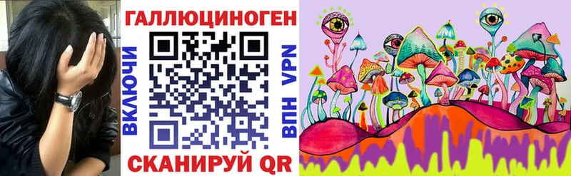 где продают   Онега  Псилоцибиновые грибы Psilocybe 